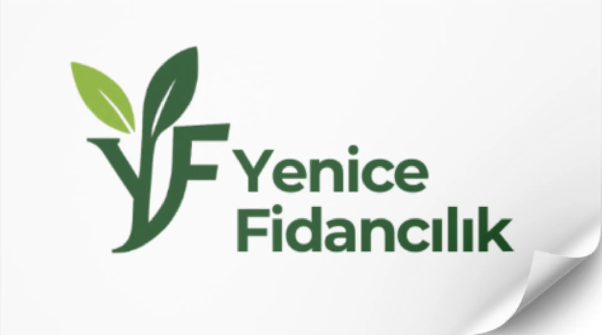 FUJİ ELMA FİDANI