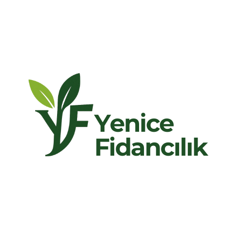 Yenice Fidan Logo