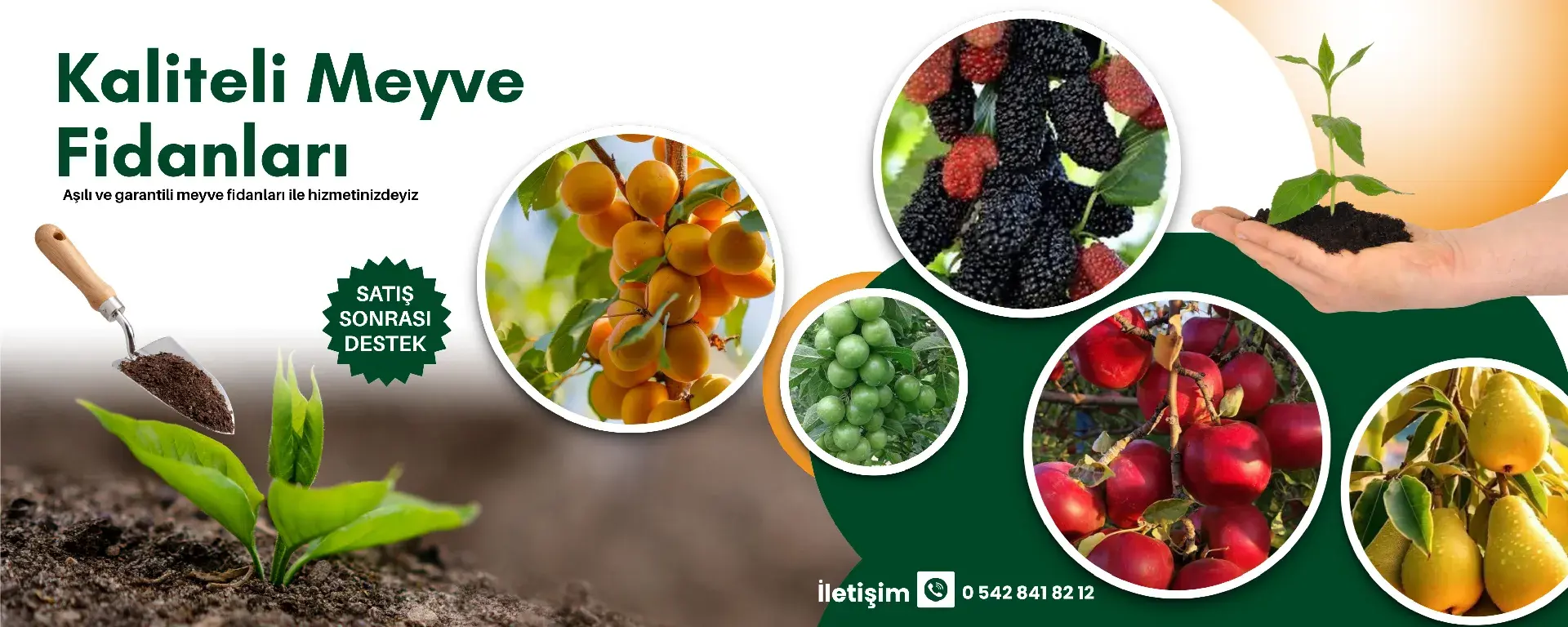 meyve fidanları